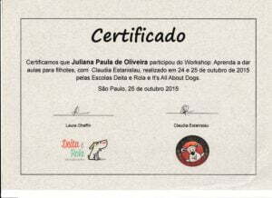 Aprenda a dar aula para filhotes_Claudia Estanislau