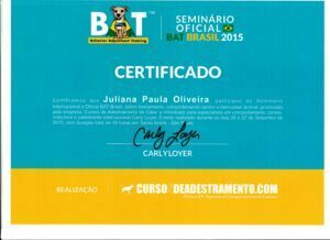 BAT Brasil _Coomportamento e bem estar_Carly Loyer