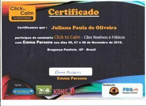 Click to calm_cães fobicos e reativos_Emma Parsons