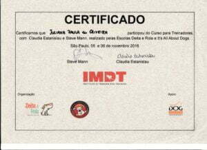 Curso para Treinadores _IMDT_Steve Mann_Claudia Estanislau