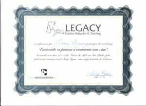 Ensinando pessoas a ensinarem seus cães_tery Ryan