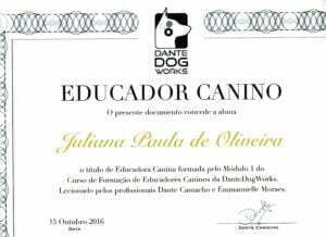 Formação Educador Canino