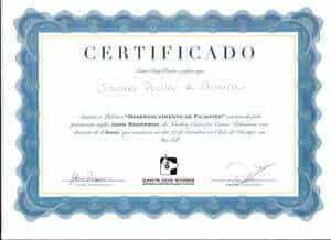 Palestra Desenvolvimento de Filhotes_John Rogerson