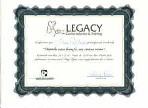 Quando cães bons fazem coisas ruins_Terry Ryan